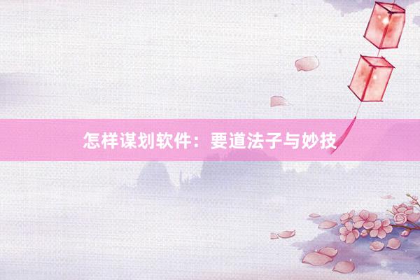 怎样谋划软件：要道法子与妙技